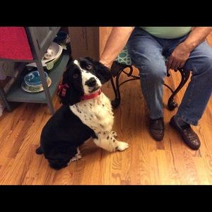 Meet your Posher, Joyce